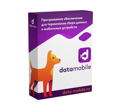 Лицензия "DataMobile" в Бишкеке, Кыргызстане