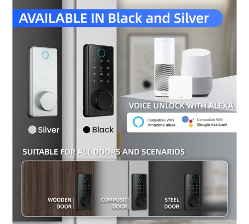 Умный дверной замок Locstar C87, TTLock, отпечаток пальца, пароль, IC-карта, Bluetooth в Бишкеке, Кыргызстане