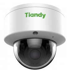 Камера-IP TIANDY TC-NC24MS